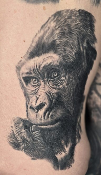 Backpiece, Part 3, Gorilla